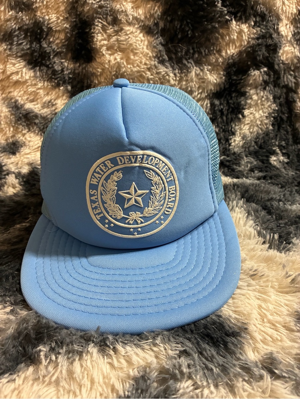 Vintage Texas Water Development Board Light Blue- Trucker Hat